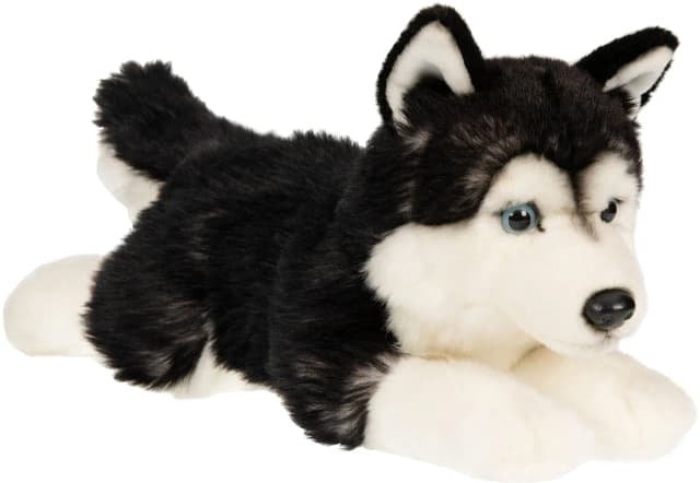 Najlepsze zabawki husky: interaktywne, pluszowe i ich ceny